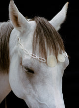 Load image into Gallery viewer, ALONG THE JOURNEY Mapuche Detachable Horsehair Necklace
