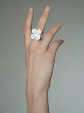 Load image into Gallery viewer, 簇簇Un Nouveau Carillon